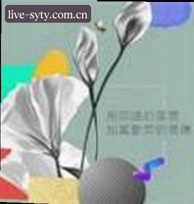 王磊